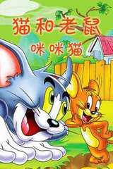 猫和老鼠咪咪猫